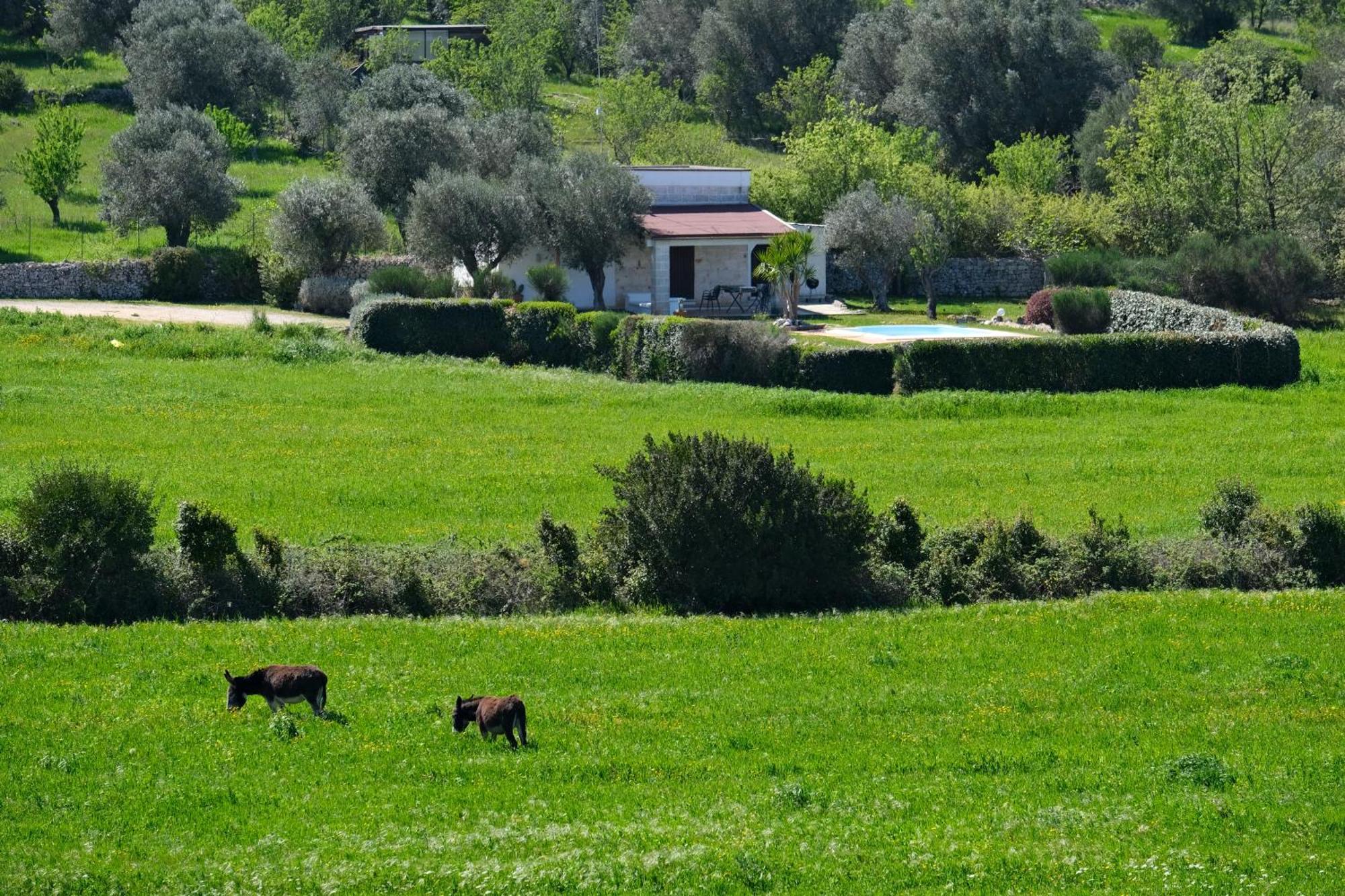 Terra Sessana Ville E Trullo Con Piscina Privata Остуни Экстерьер фото